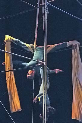 Birds Hanging